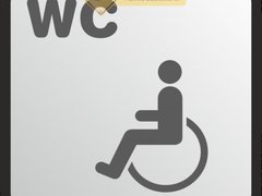 Indicator pentru persoana cu dizabilitati
